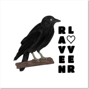 Raven lover Posters and Art